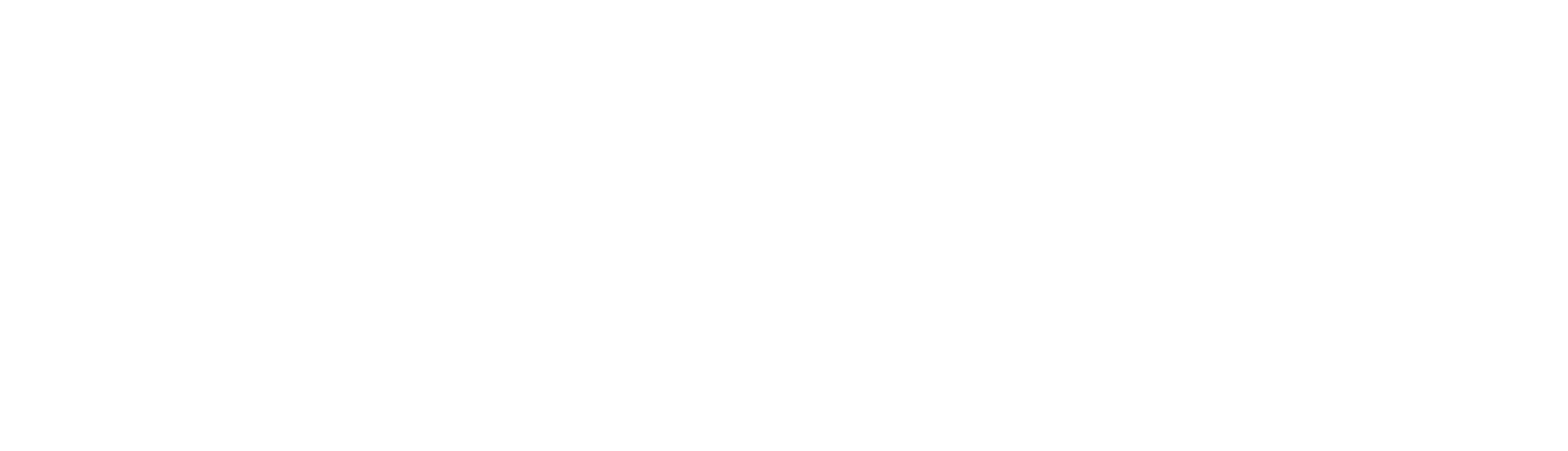 Janissa Spa white Logo